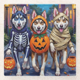 Sibirian Husky-Süßigkeiten-sammeln-Halloween-Kostü Glasuntersetzer