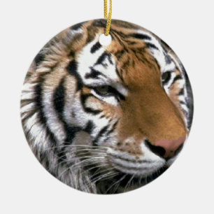 Sibirien Tiger Lounge Kunst Keramik Ornament