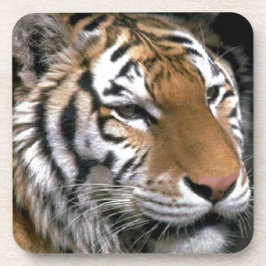Sibirien Tiger Lounge Kunst Untersetzer