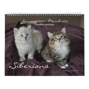 Sibirier Katzen Januar 2014 bis März 2015-Kalende Kalender