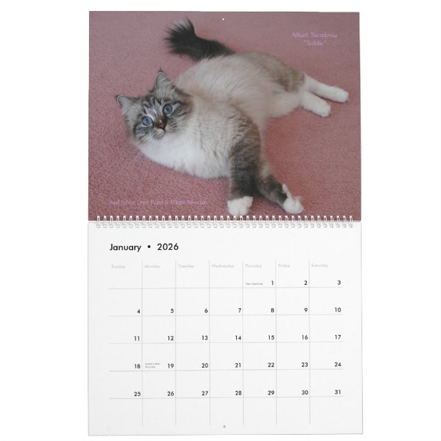 Sibirier Katzen Januar 2014 bis März 2015-Kalender Kalender (Jan 2026)