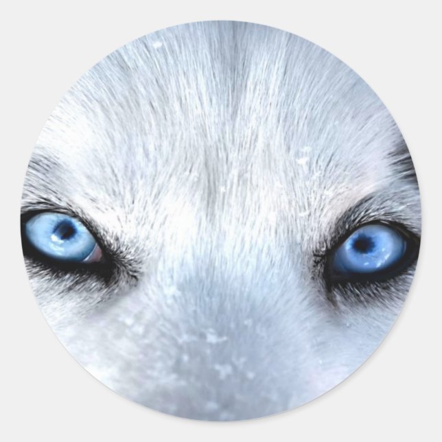 Sibirische Huselblauen Augen Runder Aufkleber (Vorderseite)