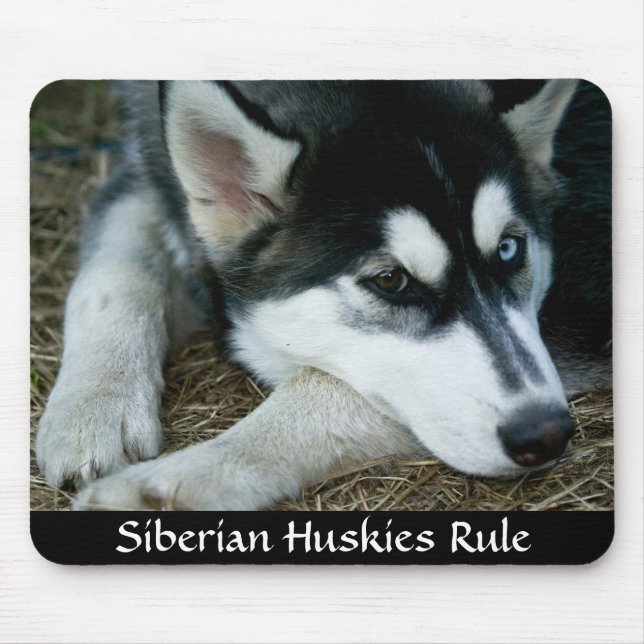 Sibirische Huskies-Regel Mousepad (Vorne)