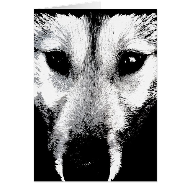 Sibirische Husky Card Malamute Wolf Hundkarte (Vorne)