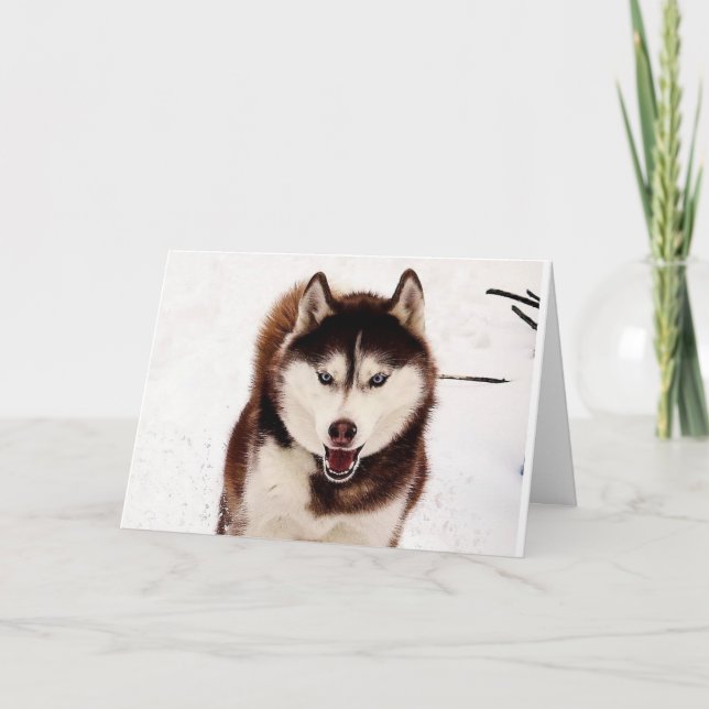 Sibirische Husky-Grußkarte Karte (Vorderseite)