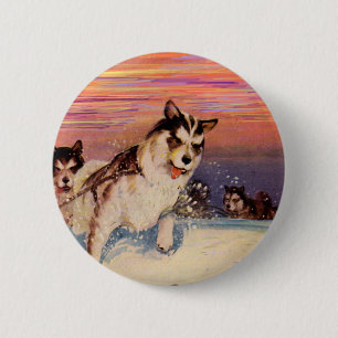 Sibirische Husky-Hunde in den 40er Jahren machen i Button