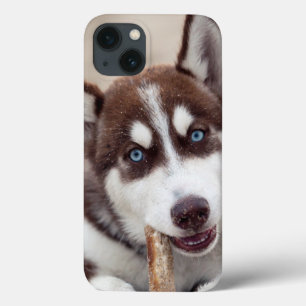 Sibirische Husky-Welpe am Strand Case-Mate iPhone Hülle