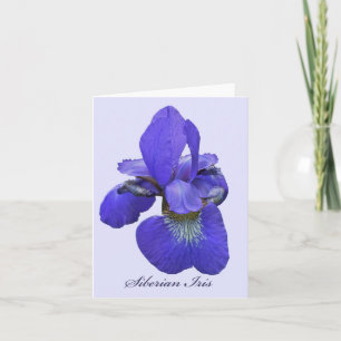 Sibirische Iris-Anmerkungs-Karte Karte