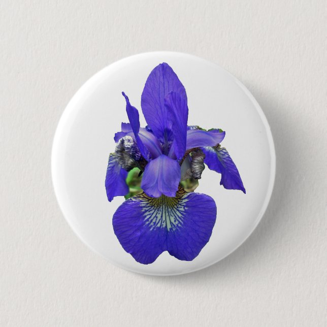 sibirische Iris-Koordinationselemente Button (Vorderseite)
