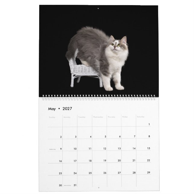 Sibirische Kätzchen-Kalender Kalender (Mai 2027)