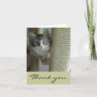 Sibirische Katze Danke, dass Sie Karten bemerken