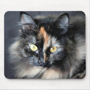 Sibirische Katze Mousepad