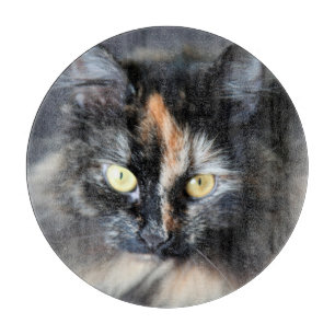 Sibirische Katze Schneidebrett
