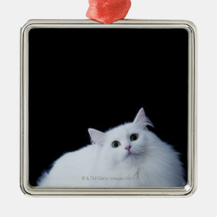 Sibirische Katze Silbernes Ornament
