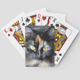 Sibirische Katze Spielkarten
