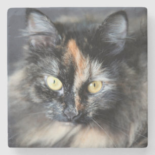 Sibirische Katze Steinuntersetzer