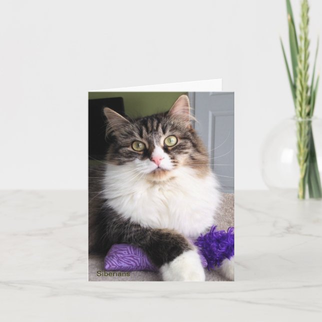 Sibirische Katzen-Anmerkungs-Karte Karte (Vorderseite)