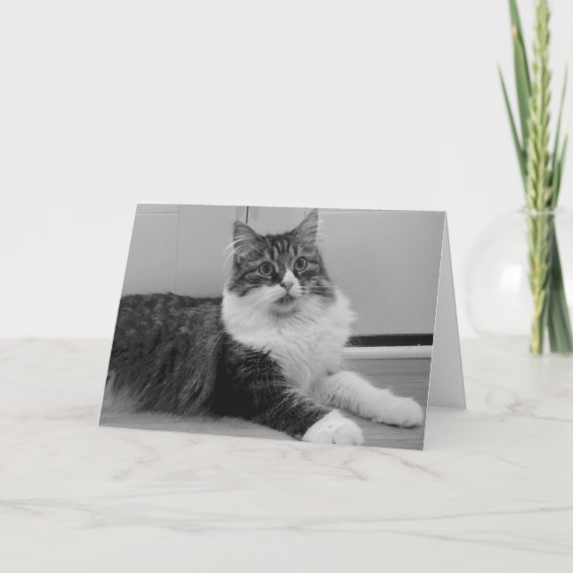 Sibirische Katzen-Anmerkungs-Karte Karte (Vorderseite)