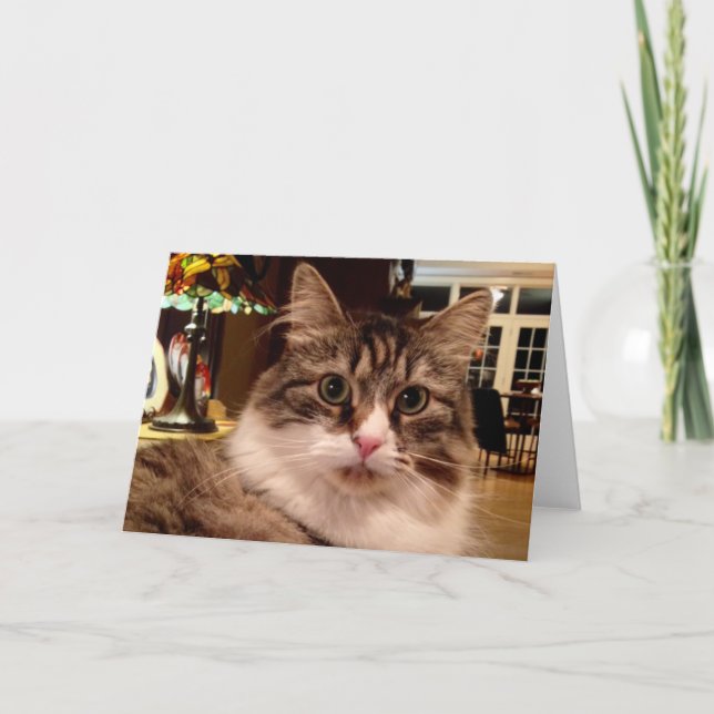 Sibirische Katzen-Anmerkungs-Karte Karte (Vorderseite)