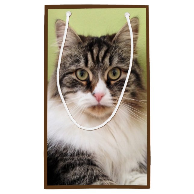 Sibirische Katzen-Geschenk-Tasche Kleine Geschenktüte (Rückseite)