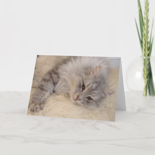 Sibirische Katzen-Gruß-Karte Karte (Vorderseite)