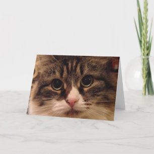 Sibirische Katzen-nahe hohe Anmerkungs-Karte Karte