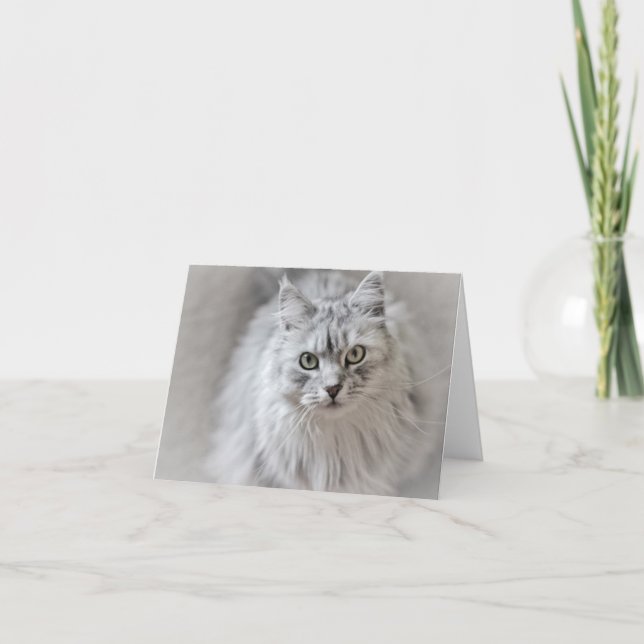 Sibirische Katzennotkarte Karte (Vorderseite)