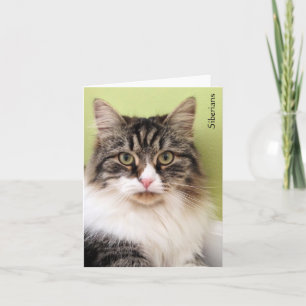 Sibirische Magie-Mitteilungskarten Karte