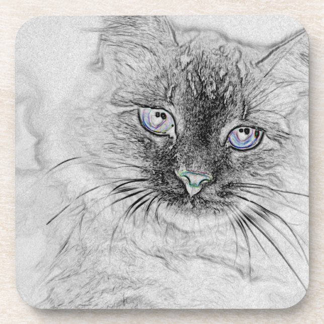 Sibirische Miezekatze-Katze, die auf der Getränkeuntersetzer (Vorderseite)