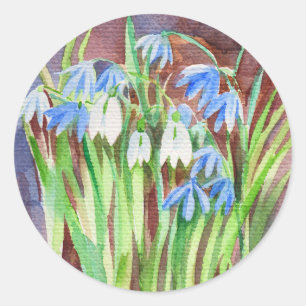 Sibirische Squill-Blue-Spring-Blume Runder Aufkleber