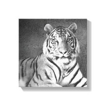 Sibirische Tiger Kunst in Schwarz und Weiß - Leinw