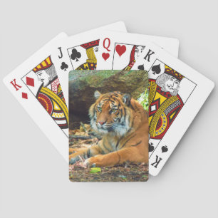 Sibirische Tiger Spielkarten