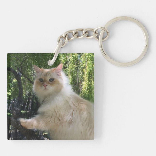 Sibirische Waldkatze (Doppeltes versah) mit Seiten Schlüsselanhänger (Rückseite)