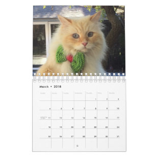 Sibirische Waldkatze Kalender