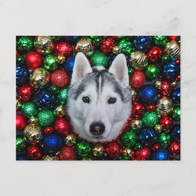Sibirische Weihnachtsschmuckkarte Postkarte (Vorderseite)