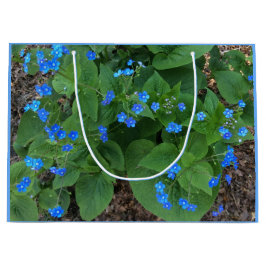 Sibirischer Bugloss - blau und grün - Große Geschenktüte