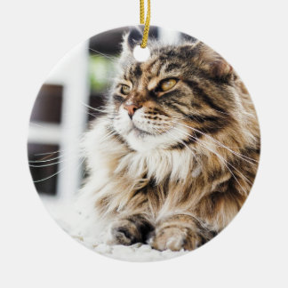 Sibirischer Entwurf der persischen Katze des Keramik Ornament