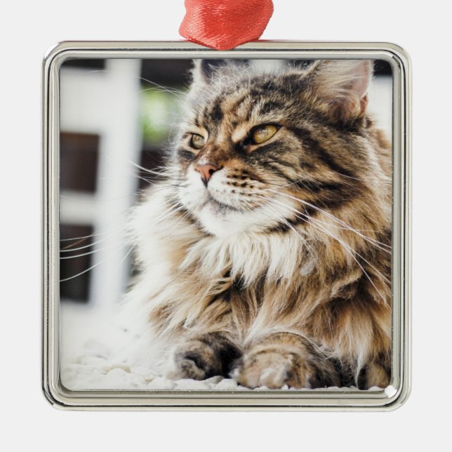 Sibirischer Entwurf der persischen Katze des Silbernes Ornament (Vorne)