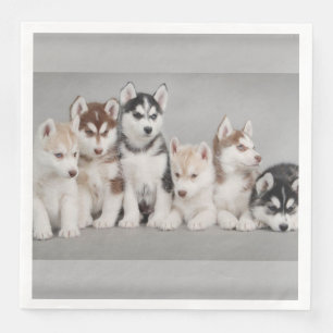 Sibirischer Huskies-Papierservietten Serviette