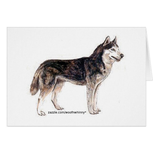 Sibirischer Husky! (Vorderseite (Horizontal))