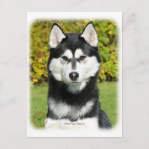 Sibirischer Husky 9P046D-49 Postkarte