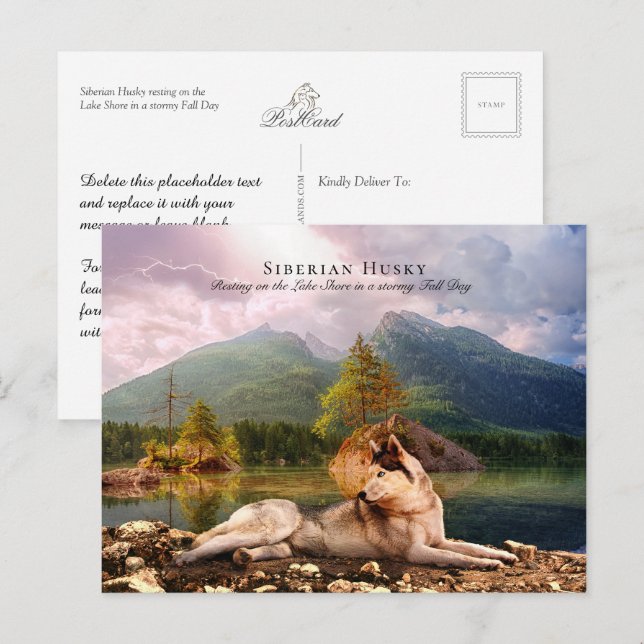 Sibirischer Husky am Lakeshore im Herbst - Sammeln Postkarte (Vorne/Hinten)