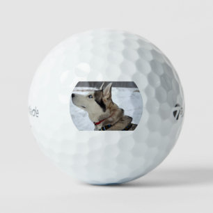 Sibirischer Husky Dritter Golfball