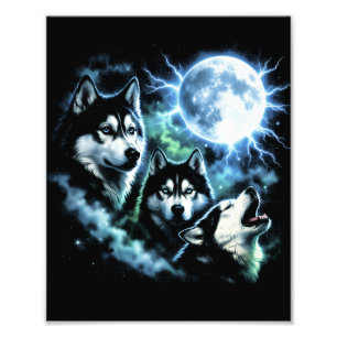 Sibirischer Husky heult den Mond an – Nachthimmel Fotodruck