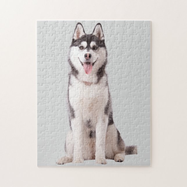 Sibirischer Husky-Hund (Vertikal)