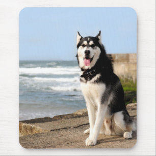 Sibirischer Husky-Hund am Strand Computermauspad Mousepad