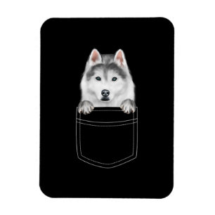 Sibirischer Husky-Hund in Pocket Funny Dog Lover Magnet
