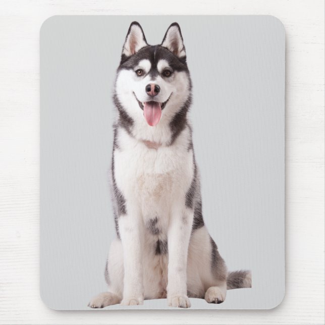 Sibirischer Husky Hund Mousepad (Vorne)