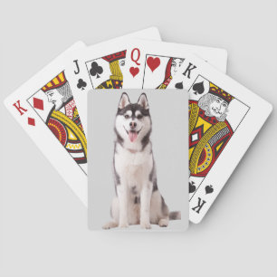 Sibirischer Husky Hund Spielkarten