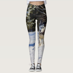 Sibirischer Husky im Schnee Leggings